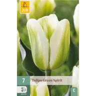 Blumenzwiebel Tulpe Green Spirit 7 Stück JUB