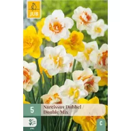 Zwiebel Narzisse Dubbel/Double Mix 5 Stück JUB