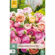 Virághagyma Boglárka (Ranunculus) Pastel Mix 10 db JUB