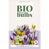Virághagyma BIO Krókusz (Crocus sp.) Mix 15 db JUB