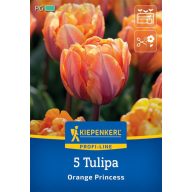 Blumenzwiebel Tulpe Orange Princess 5 Stück Kiepenkerl