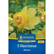 Blumenzwiebel Narzisse Milena Kiepenkerl 5 Stück