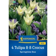   Blumenzwiebelmischung 4 Tulpen & 8 Krokusse Springtime Duo Kiepenkerl 12 Stück