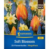   Zwiebel Tulpe-Tulpenmischung Soft Blossom Megapack Kiepenkerl 25 Stück