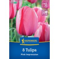Blumenzwiebel Tulpe Rosa Impression Kiepenkerl 8 Stück