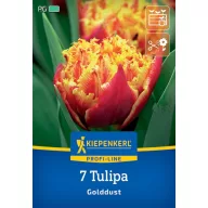 Blumenzwiebel Tulpe Golddust Kiepenkerl 7 Stück