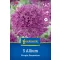 Blumenzwiebel Zierzwiebel Purple Sensation Kiepenkerl 5 Stück