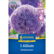 Glühbirne Blumenzwiebel Globemaster Kiepenkerl 1 Stück