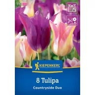 Blumenzwiebel Tulpe Coutryside Duo Kiepenkerl 8 Stück