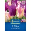 Blumenzwiebel Tulpe Coutryside Duo Kiepenkerl 8 Stück