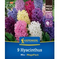 Blumenzwiebel Hyazinthe Mix Megapack Kiepenkerl 9 Stück