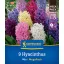 Blumenzwiebel Hyazinthe Mix Megapack Kiepenkerl 9 Stück