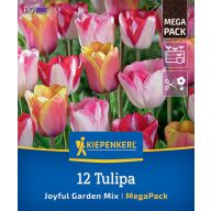   Zwiebel Tulpe Joyful Garden Mix Megapack Kiepenkerl 12 Stück