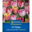 Zwiebel Tulpe Joyful Garden Mix Megapack Kiepenkerl 12 Stück