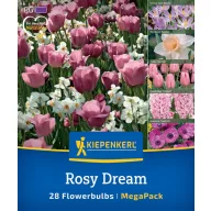 Blumenzwiebelmischung Rosy Dream Mix Kiepenkerl 28 Stück