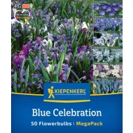 Blumenzwiebelmischung Blue Celebration Kiepenkerl 50 Stück