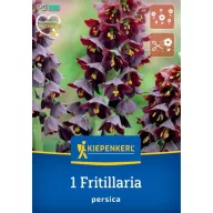   Virághagyma Perzsa császárkorona (Fritillaria persica) Kiepenkerl 1 db