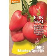 Tomate Bio-Kürbis Herz Rein Saat ca. 25 Samen