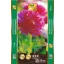 Blumenerde PRÉMIUM General Sunin 50 l