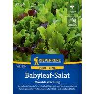 Babysalat Maraldi Mix Kiepenkerl 1-2 m2