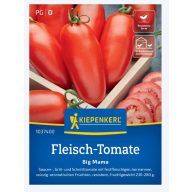   Tomaten (Fleisch)-Big Mama (länglich) Kiepenkerl ca. 7 Samen