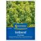 Senf (Sinapis alba)-Gründünger und Imker für 20 m2 Kiepenkerl