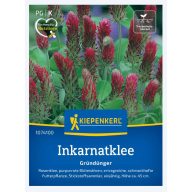   Purpurklee (Trifolium inc.)-Gründünger und Imker für 25 m2 Kiepenkerl