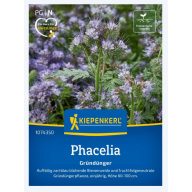   Geißblatt (Phacelia tan.)-Gründünger und Imker für 25 m2 Kiepenkerl