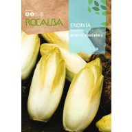 Endívia Mechelse Middelvroeg Rocalba 10 g
