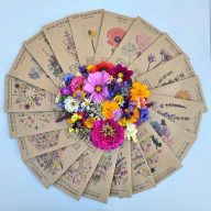 Vadvirágom fa ajándékdoboz-nagy (20 tasak mag/60 g)