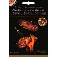 Ehető virágok Oroszlánszáj (Anthirríno) 2g Rocalba