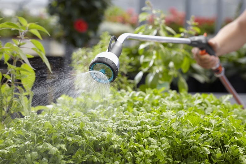 Premium watering can