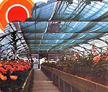 Raschelnetz 12x50m 30g/m2 s.grün