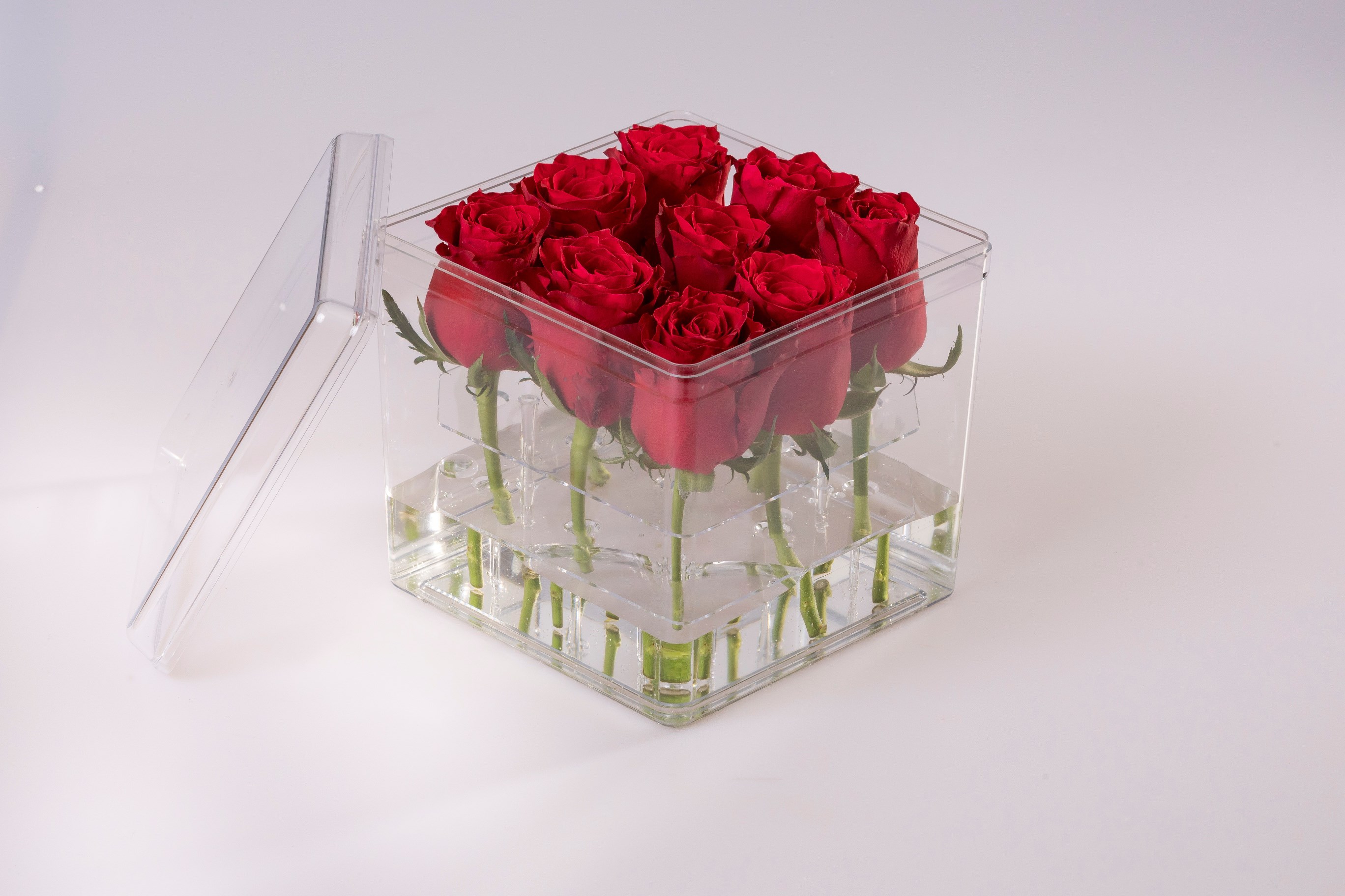 Plastic flower box 3x3 stems