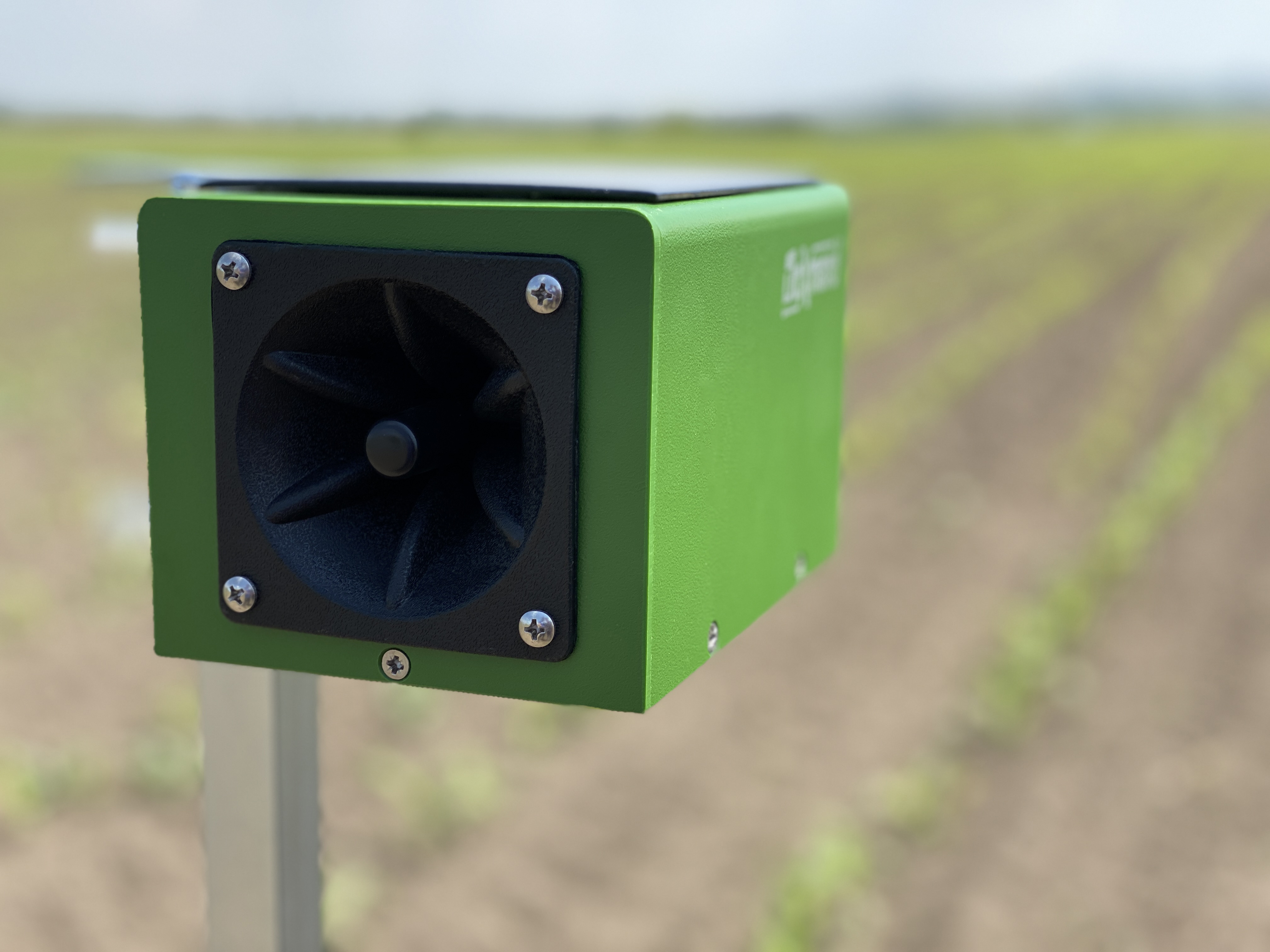 Doxmand Dual Spielalarm