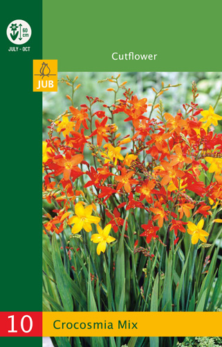 Bulb Crocosmia Mix (Safflower) 20 pieces JUB