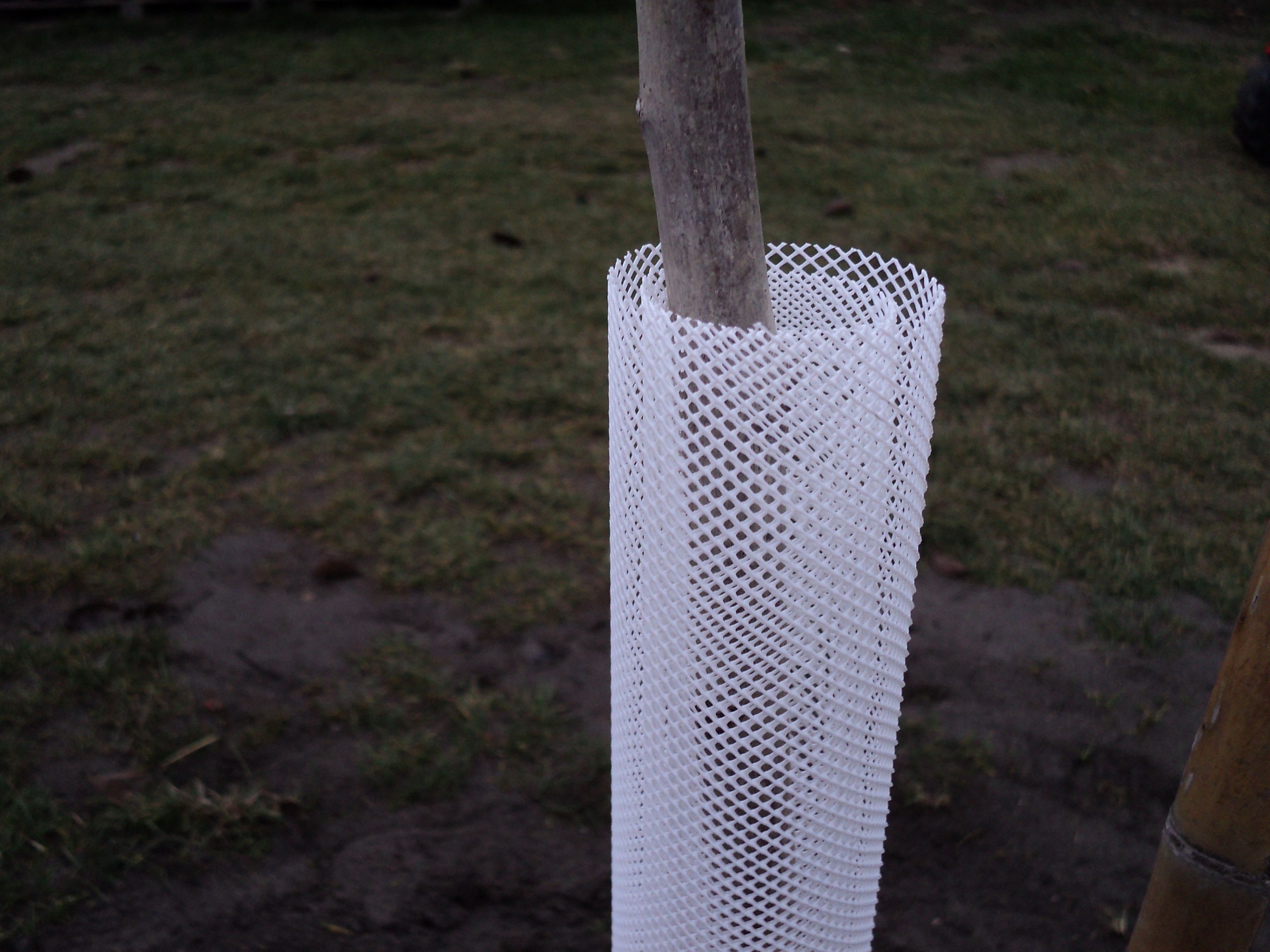 Baumschutzgitter Treex weiß 110 cm (6 cm Durchmesser)