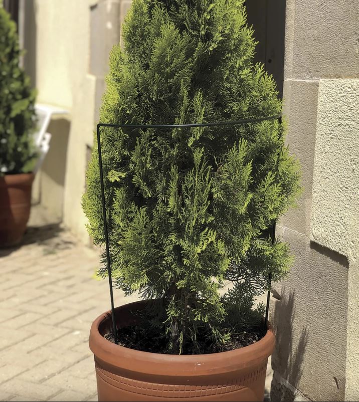 Halbrunde Pflanzenstütze CHELSEA 30x60cm