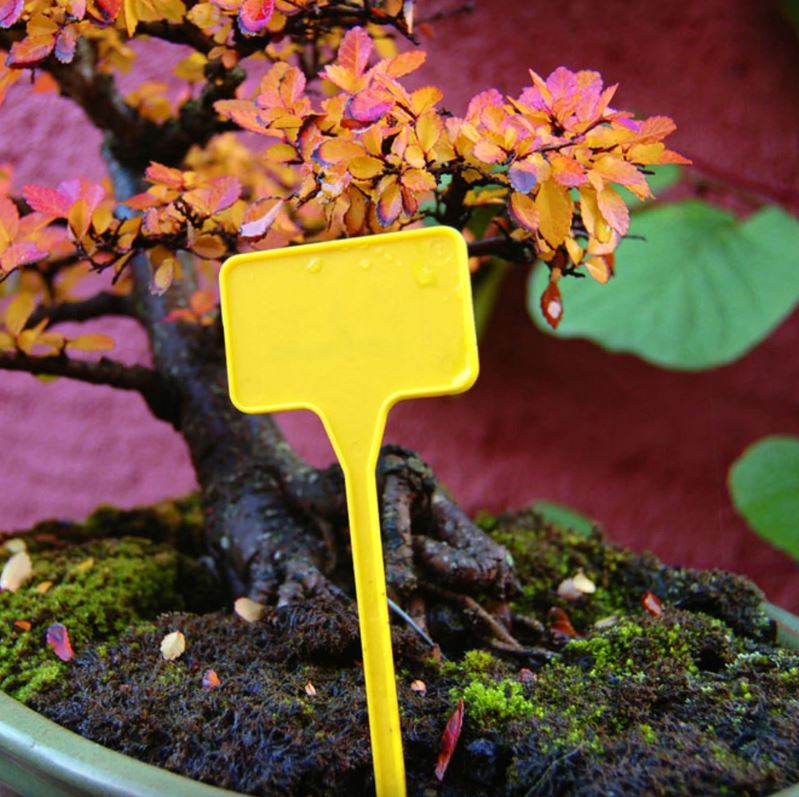 Einsteckschilder LABEL15 10 Stück