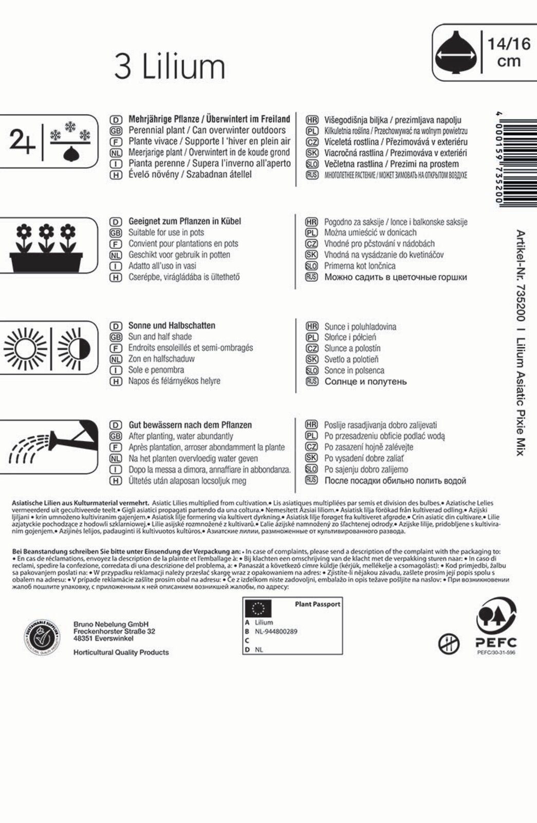 Bulb Lily colour mix Pixie Mix Kiepenkerl 3 pcs