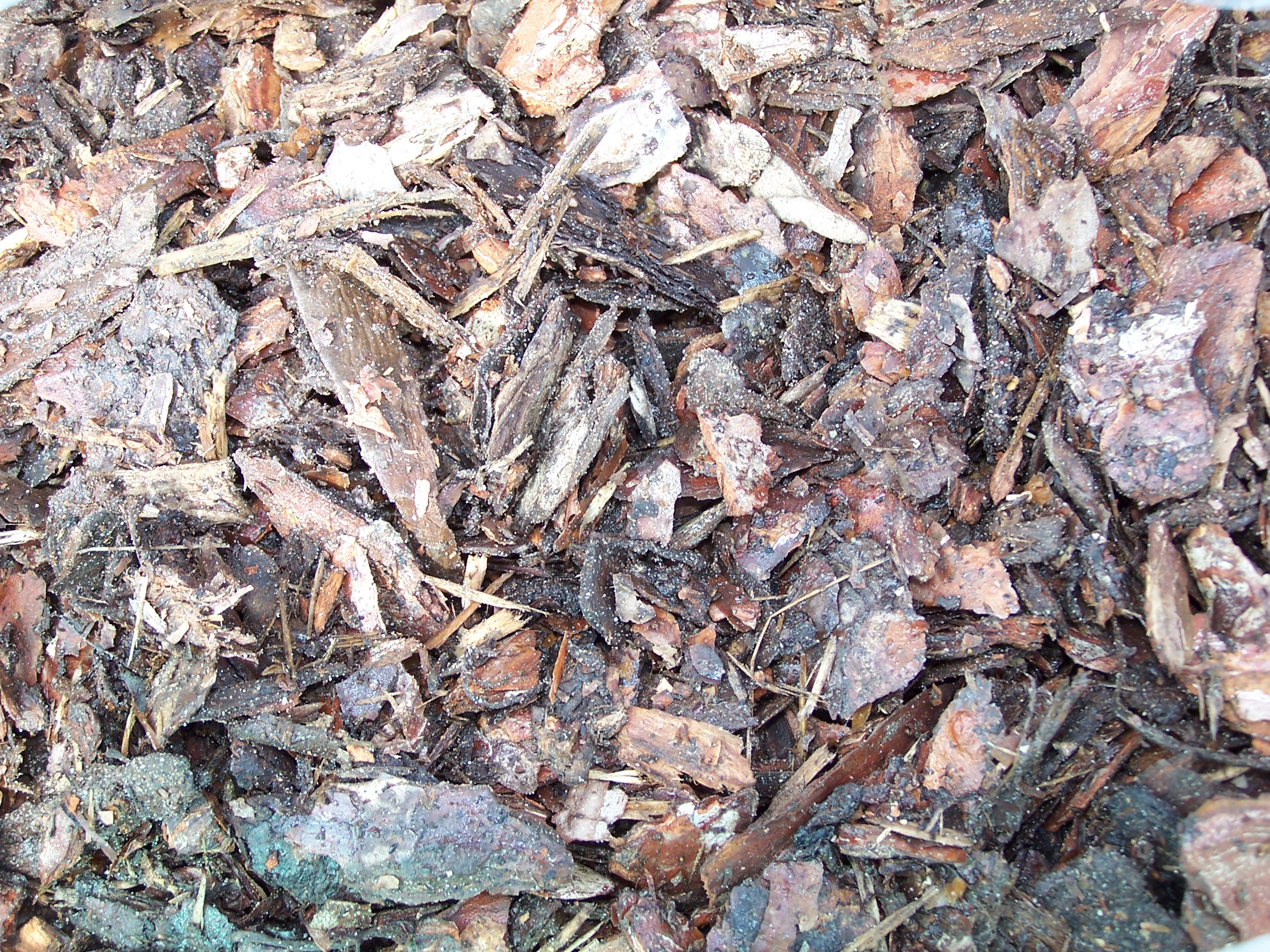 Kiefernrinde Borovi klein 80 l Gazdabolt.hu