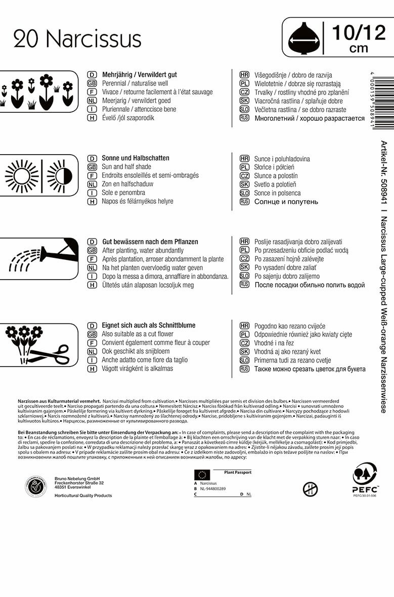 Flower Bulb Daffodil Mega Pack English White-orange daffodil field 20 pcs Kiepenkerl