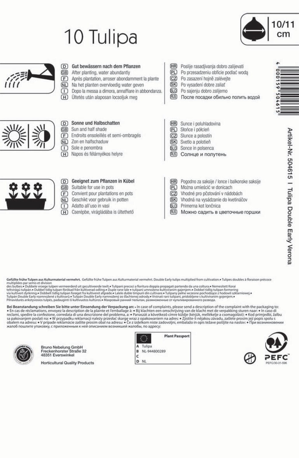 Flower bulb Tulip Verona Profi-Line Kiepenkerl 10 pcs