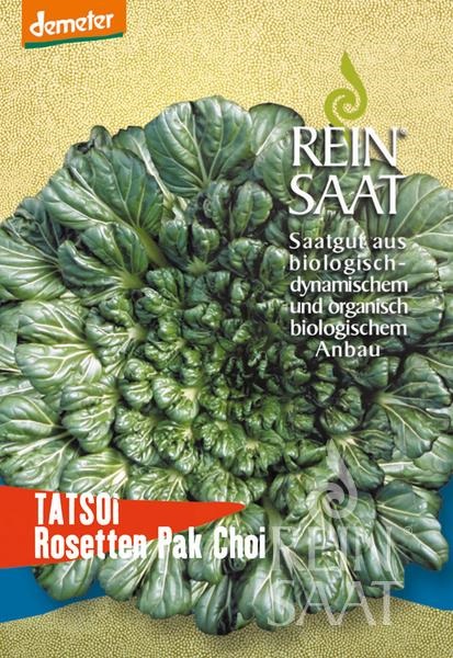 Asiatischer Kopfsalat Bio Tatsoi Rein Saat ca. 500 Samen