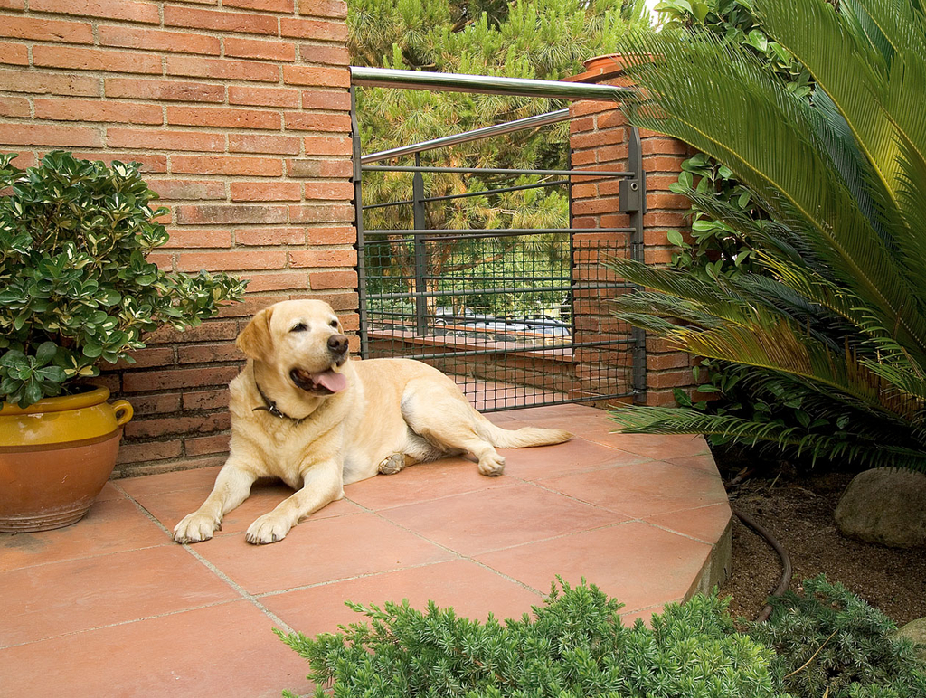 Kunststoffgitter Doornet 1x20 m (32x28 mm)