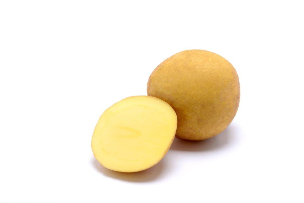 Kartoffelsamenknolle für die Herstellung von Kartoffelchips "Sorentina" 50 Stück