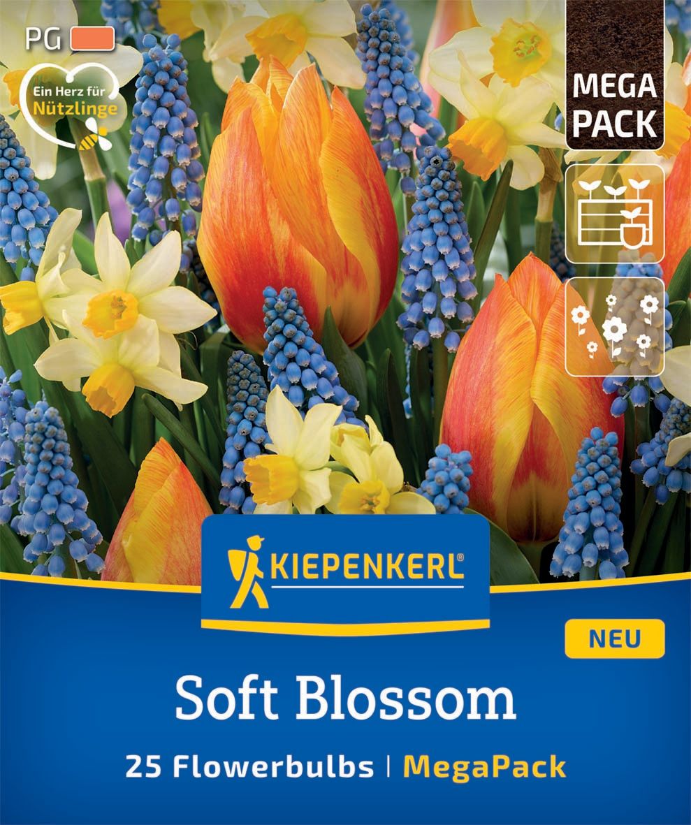 Bulb Tulip-Tulip mixture Soft Blossom Megapack Kiepenkerl 25 pcs