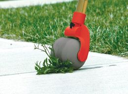 Unkrautvernichter Weedball