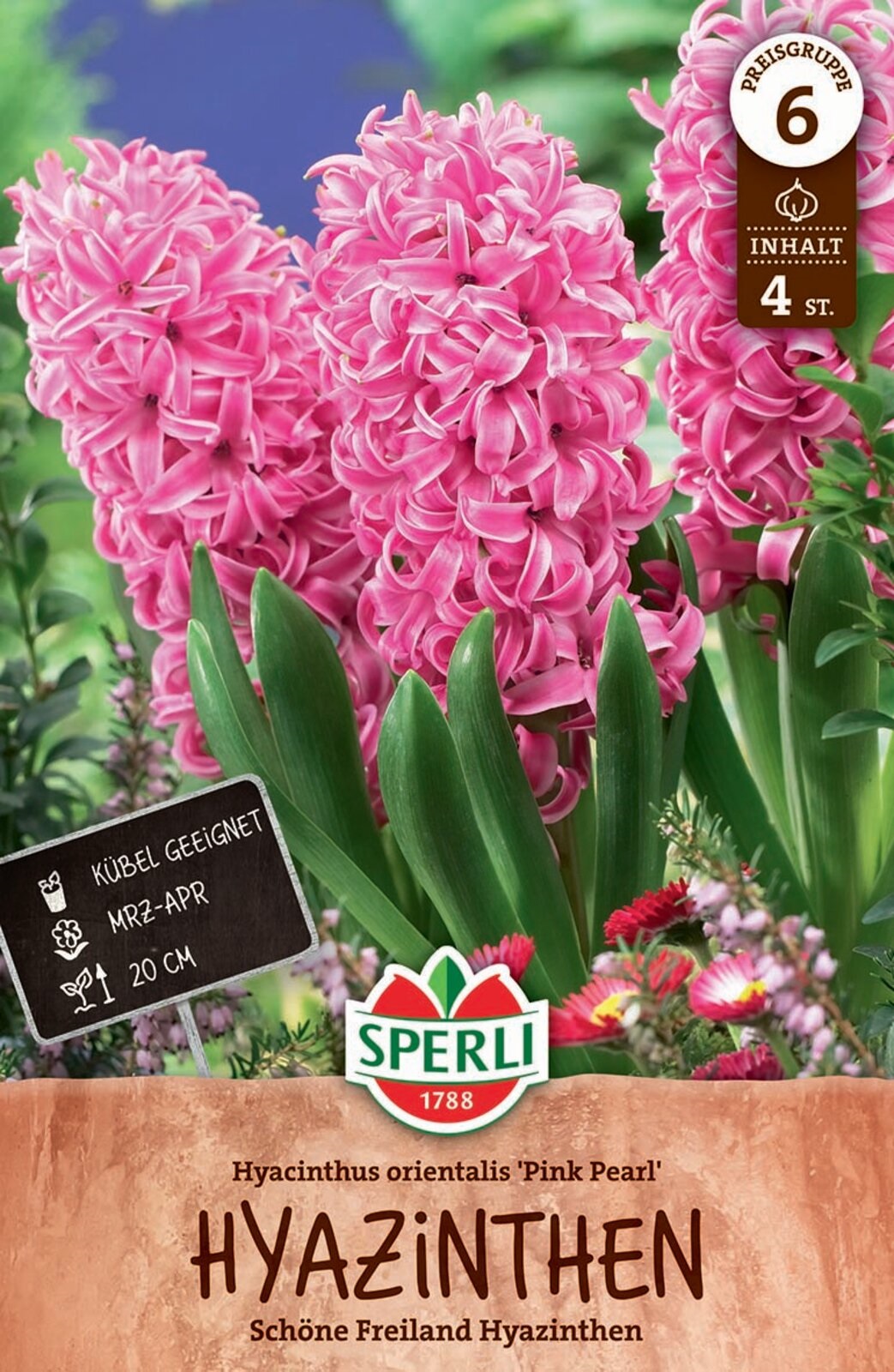 Blumenzwiebel Hyazinthe Rosa Perle 4 Stück Sperli