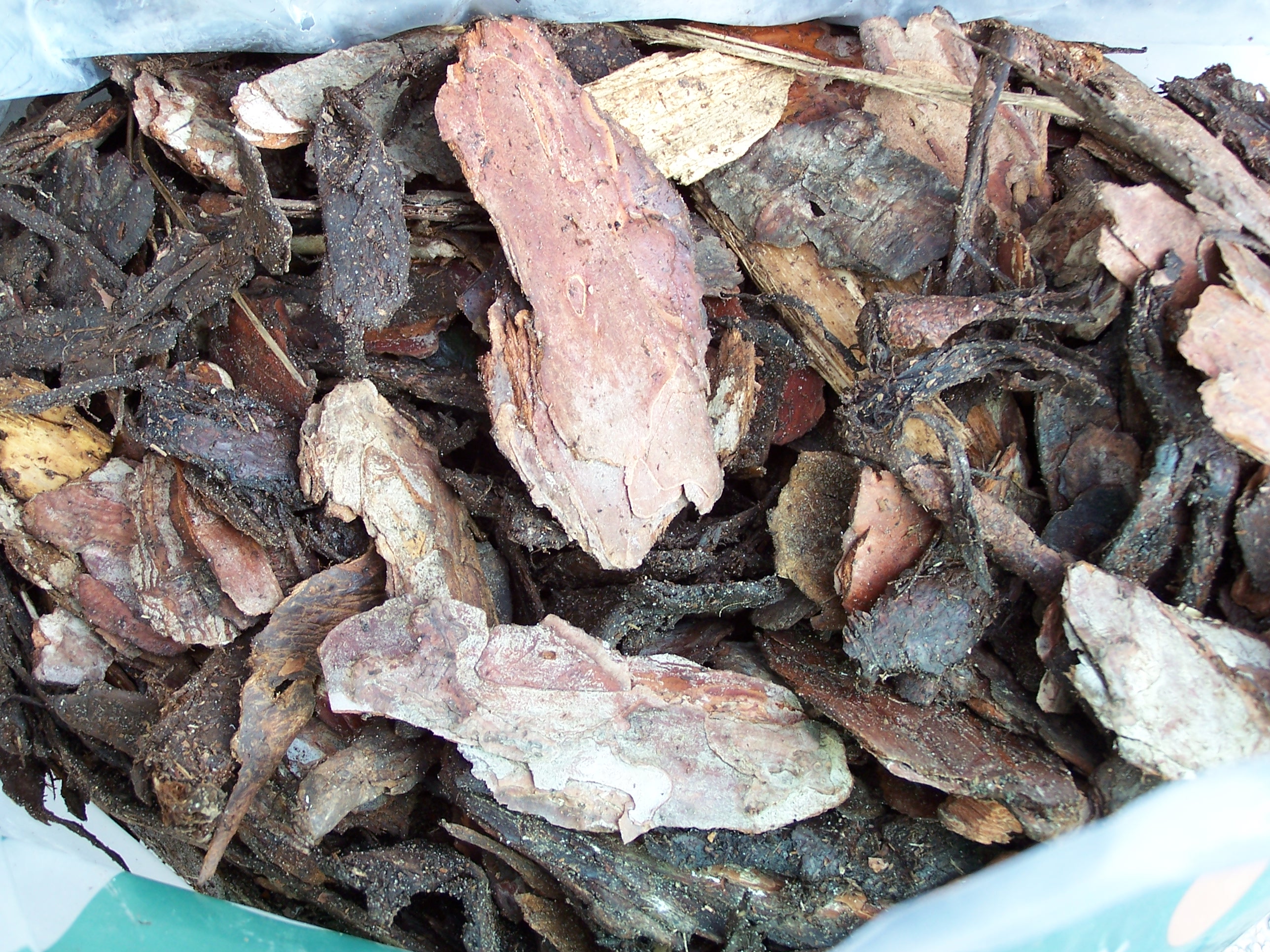 Kiefernrinde Kiefer ideal 80 l Gazdabolt.hu